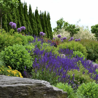 Inspiration for a contemporary hillside landscaping in Other.