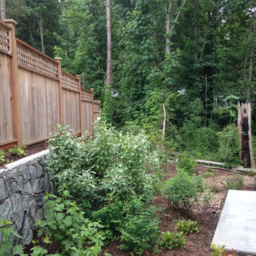2016 BC Native plants planting a year later
