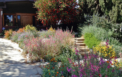 Native Plants Bring 10 Southern California Front-Yard Gardens to Life