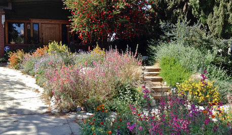 Native Plants Bring 10 Southern California Front-Yard Gardens to Life