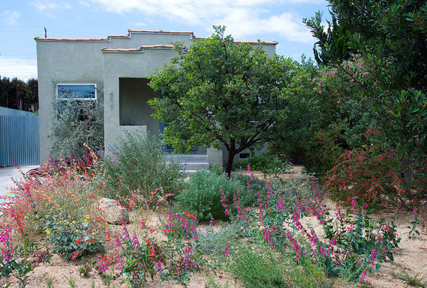 Modern Landscape by Theodore Payne Foundation