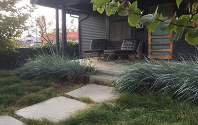 See How 3 California Gardens Hit the Mark With Native Plants