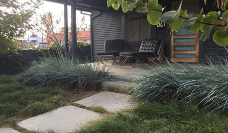 See How 3 California Gardens Hit the Mark With Native Plants