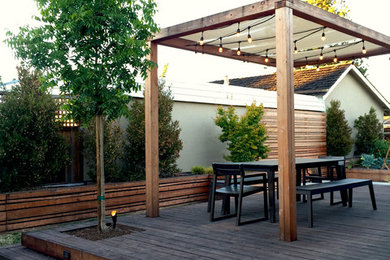 Photo of a contemporary drought-tolerant and full sun backyard landscaping in San Francisco with decking.