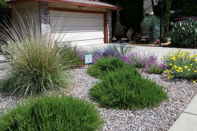 Eve S Garden Design Chico Ca Us 95926 Houzz