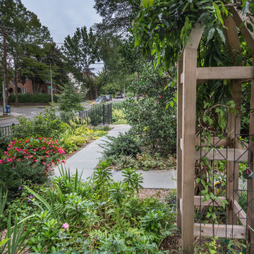A City Garden on a Corner Lot
