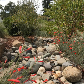 A dry creek captures roof water for the landscape