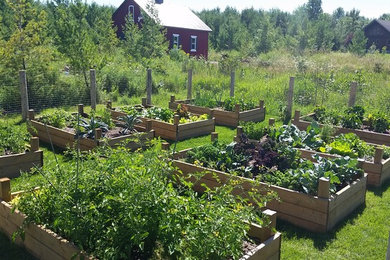 Photo of a farmhouse vegetable garden landscape in Toronto.