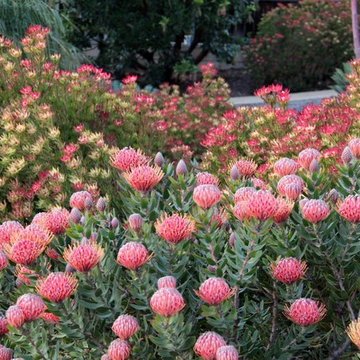 A Flurry of Pincushions