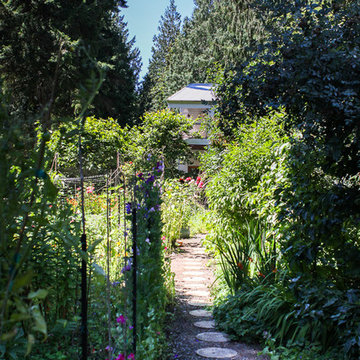 A Forest Oasis on Whidbey Island