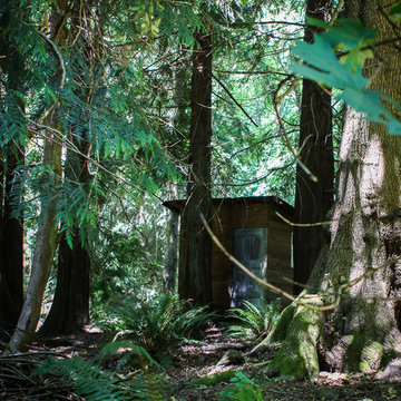 A Forest Oasis on Whidbey Island