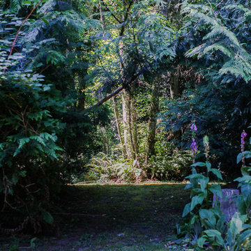 A Forest Oasis on Whidbey Island