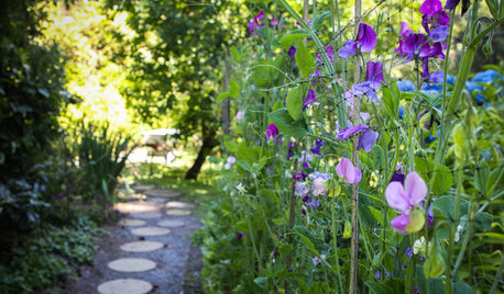 My Houzz: A Sun-Dappled Oasis on Whidbey Island