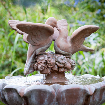 A Fountain that Loves Birds