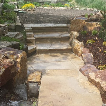 A Foxy Colorado Stream
