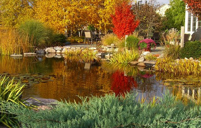 See How 4 Gorgeous Gardens Win With Fall Color and Texture
