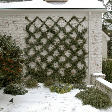 A Garden Through the Seasons