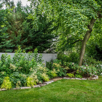 A Green and White Garden