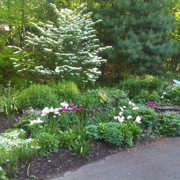 A late spring garden along the driveway