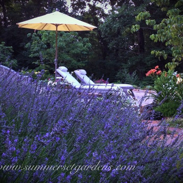 A Little Bit of Provence in Westchester NY