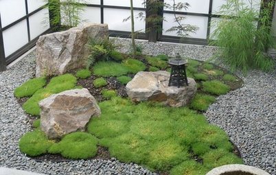 «Каменный цветок»: Как обустроить сухой сад камней