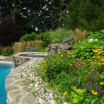 A Lush Backyard Poolscape