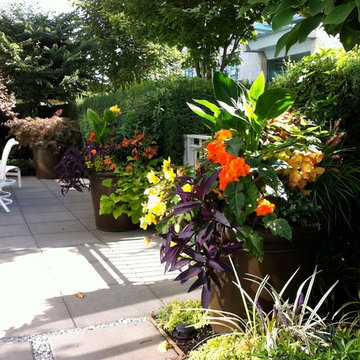 A Modern Tropical Garden 2012
