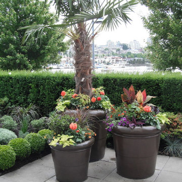 A Modern Tropical Patio Garden