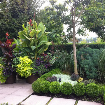 A Modern Tropical Patio Garden