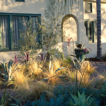 A Natural Refuge in Hollywood-Front Yard