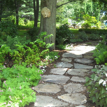 A natural stepping stone path in a shade garden