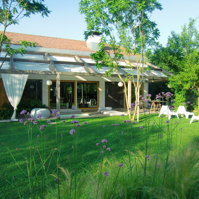 Photo of a contemporary backyard landscaping in Miami.