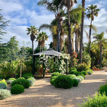 A Mediterranean garden in Los Altos Hills