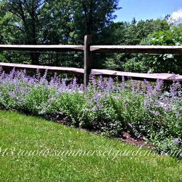 A post and rail fence and perennial planting
