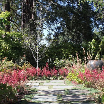 A Private Hillsborough Garden