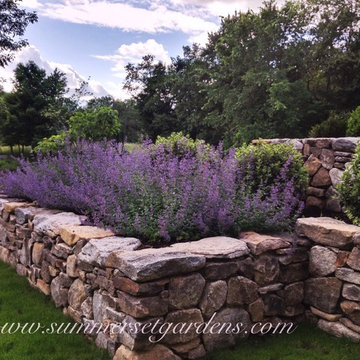 A Rustic New England Stone Wall and Perennial Garden