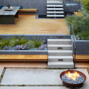 This is an example of a modern landscaping in San Francisco.