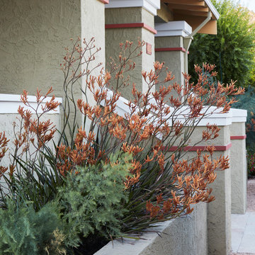 A San Jose Edible Garden