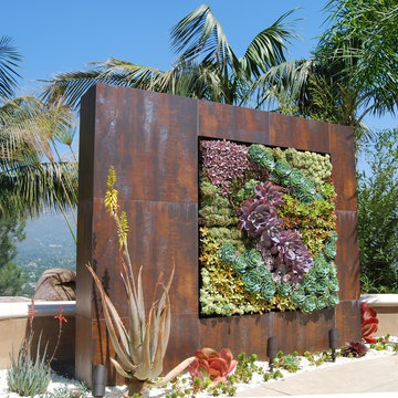 A Succulent Wall
