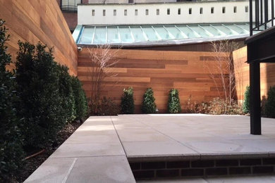 Geometrischer, Großer Moderner Garten im Frühling mit direkter Sonneneinstrahlung in Washington, D.C.