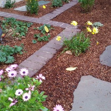 A traditional craftsman home gets a planting make over