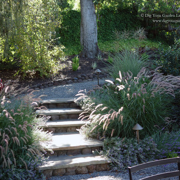 A Traditional Landscape Loses the Lawn & Overgrown Shrubs To Low-Water Plants