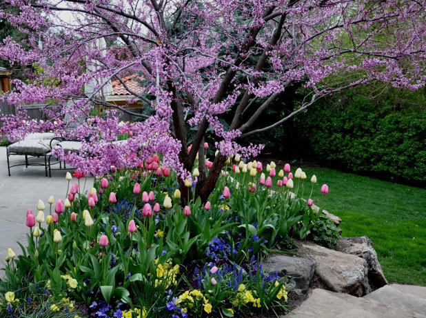 American Traditional Garden by Designscapes Colorado Inc.