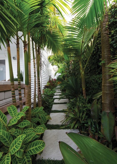 Tropical Garden by Zones Landscaping Specialists