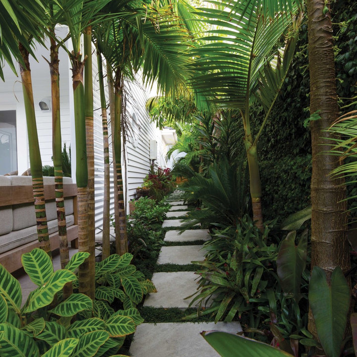 Subtropical Garden Photos & Ideas Houzz