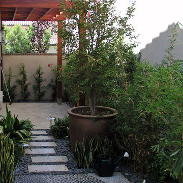 A Tropical Modern Sideyard
