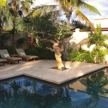 A tropical oasis on the Baja Peninsula
