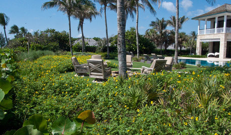 How to Make Your Oceanfront Garden Thrive