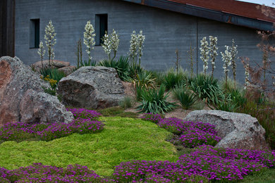 This is an example of a contemporary landscaping in Denver.