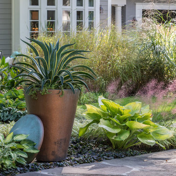 A Water-Wise Garden in Bethesda